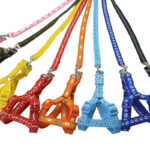 ARNES PERRO COLORES 1.5CM cod:39227