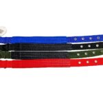 COLLAR LONA 3.0 ACOLCHADO PARA PERROS (240)DANDI 488