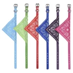 SET COLLAR PAÑUELO 12PCS