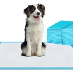 Sabanilla para mascotas 20un Dono 60x90