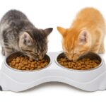 PLATO COMEDERO DOBLE CON PLATOS DE ACERO 32X16X8CM.(80)2473