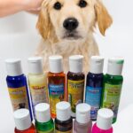 SHAMPOO IRAY SURTIDO PERRO 300ML.