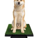 BAÑO SANITARIO GRANDE 63.8X50.8X6.8 APROX XL 580 (4)