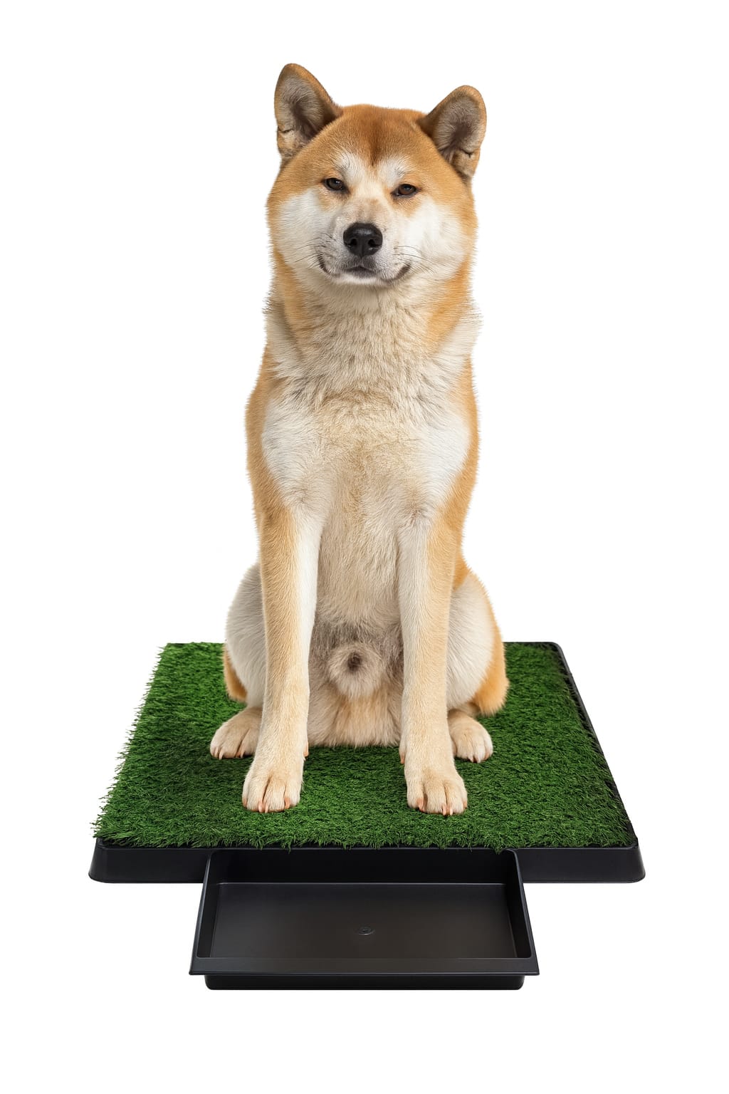 baño sanitario 580 BAÑO SANITARIO GRANDE 63.8X50.8X6.8 APROX XL 580 (4) - Imagen 1