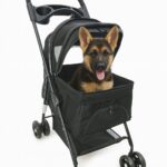 COCHE PARA MASCOTA (1)2561 2560