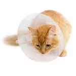 COLLAR ISABELINO 10CM - Imagen 3