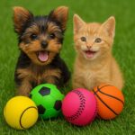 SET 4 PELOTAS 4 CM. PARA MASCOTA (120) 1070