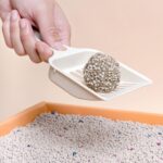 ARENA SANITARIA DANDIPET 20KG - Imagen 2