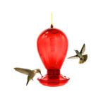 BEBEDERO PEQUEÑO ESPECIAL PARA COLIBRI (100)DANDI 509