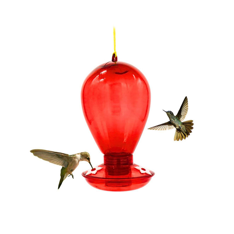 9206323805099 BEBEDERO PEQUEÑO ESPECIAL PARA COLIBRI (100)DANDI 509 - Imagen 1