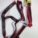 Arnés Perro Acolchado 3.0 cm