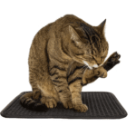 Alfombrilla rascadora para gatos 45X60