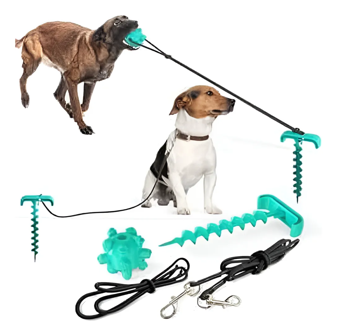 D_NQ_NP_2X_626969-MLC91649974792_092025-F-kit-de-amarre-y-estaca-para-perros Juguete Perro Estaca Para Piso - Imagen 1