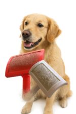 Rasqueta para peinar