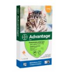 Pipeta Advantage para Gatos 0 Hasta 4 Kg
