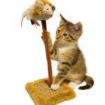 Rascador Scratch&Play Deluxe – Entretenimiento y Afilado